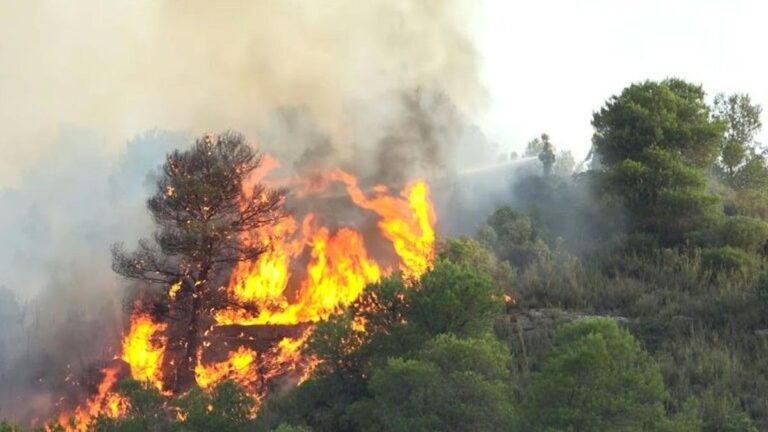 Kebakaran Hutan