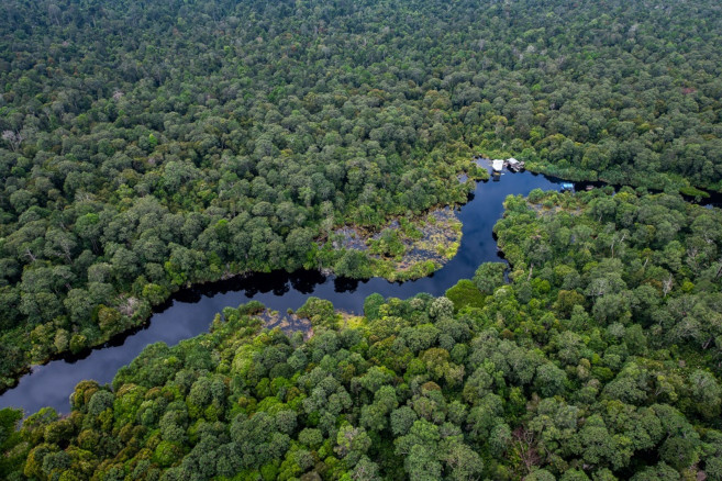 Restorasi Ekosistem Riau