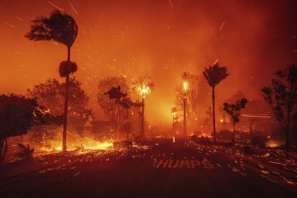 Dampak Kebakaran Hutan di Los Angeles pada Lingkungan