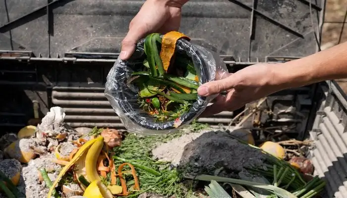 Sampah Makanan dan Kontribusinya terhadap Pemanasan Global