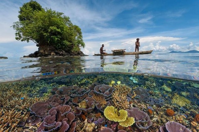 laut-tidak-sanggup-lagi-menanggung-dampak-pemanasan-global